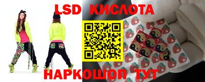 крисы Абакан