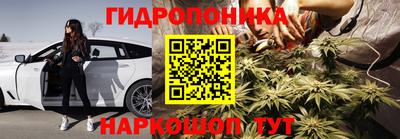 крисы Абакан