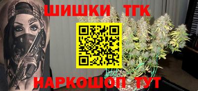крисы Абакан