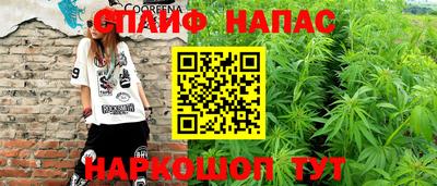 крисы Абакан