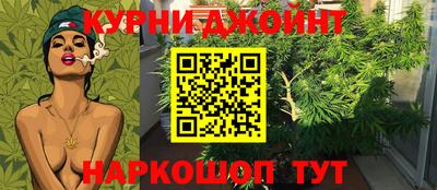 крисы Абакан
