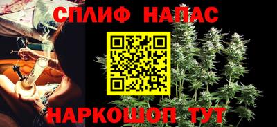 крисы Абакан