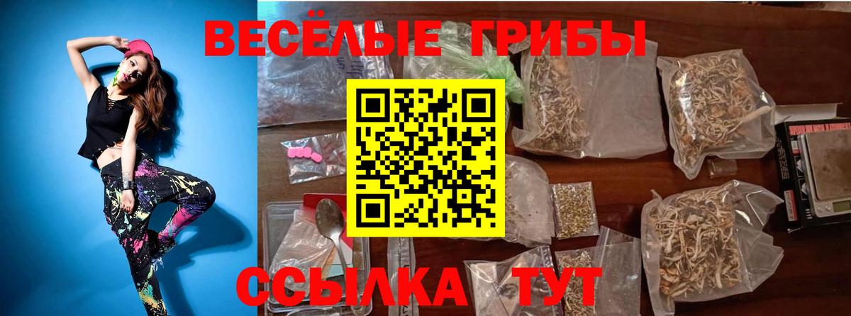 Псилоцибиновые грибы мицелий  Вход с VPN  купить   Галлюциногенные грибы GOLDEN TEACHER  Анапа 